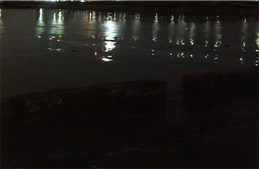 狙ったメバルはおったけど、ちっちゃ！