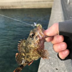 樋合新港ライトゲーム