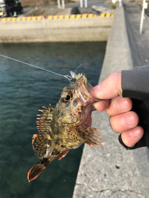 樋合新港ライトゲーム