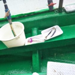 新年あけたら初釣りです！