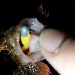 連チャンメバリング