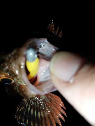 連チャンメバリング