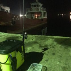 やっぱり渋くて寒いヒイカ釣り(＞＜)