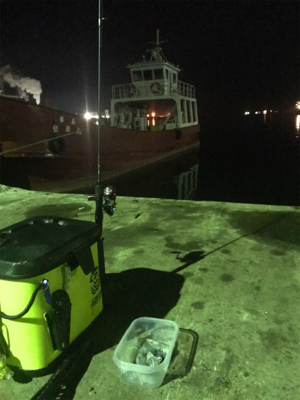 やっぱり渋くて寒いヒイカ釣り(＞＜)