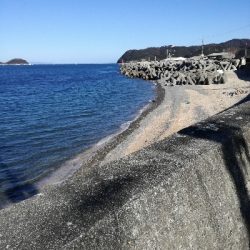 イワシは大量にいるが