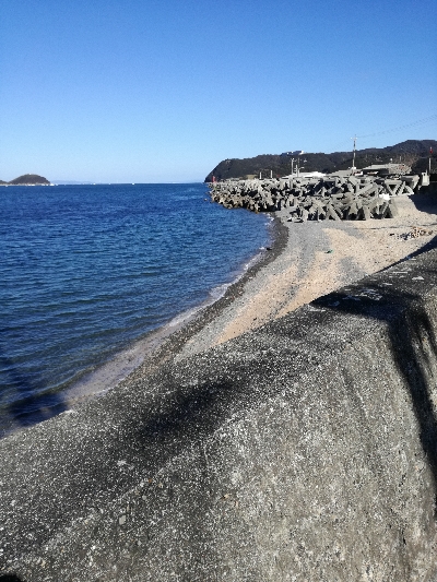 イワシは大量にいるが