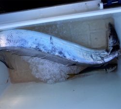 ターゲットには出会えず（苦笑）