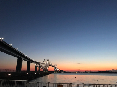 連日のシーバス