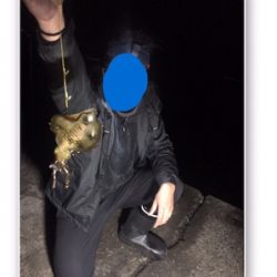 またまた。。。。