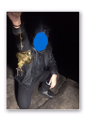 またまた。。。。