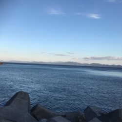 釣りの聖地鵜来島遠征釣行