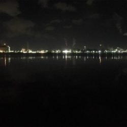 マスビートブチ曲がり