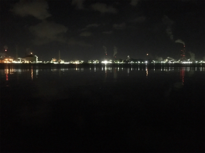 マスビートブチ曲がり