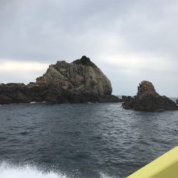 四国遠征釣行フカセデビュー