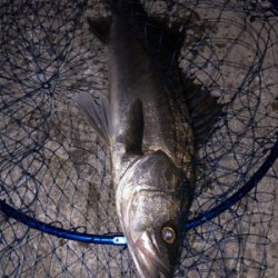 ついにアミパターン攻略