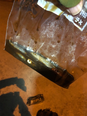 初釣り!初ヒイカ!