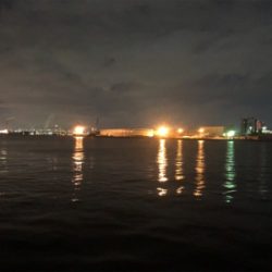 釣りしまくった