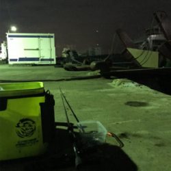 諦めかけていたヒイカ釣り…まだ釣れました＼(^^)／