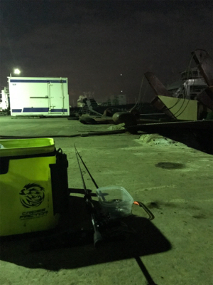 諦めかけていたヒイカ釣り…まだ釣れました＼(^^)／