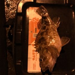 御所浦ライトゲーム最終日