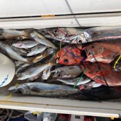 尾鷲 ゴールデンイーグルにて中深海ジギング