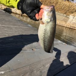 極寒のバスフィッシング