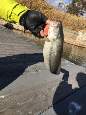 極寒のバスフィッシング