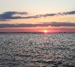 デイライトゲーム