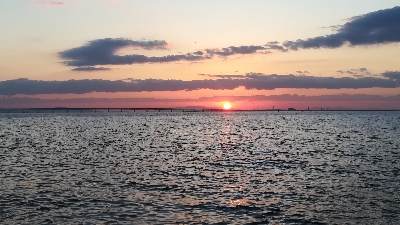 デイライトゲーム