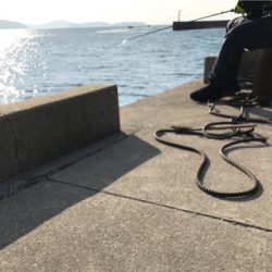 栖本港ライトゲーム②