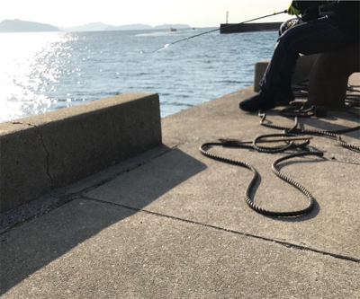 栖本港ライトゲーム②