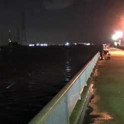 碧南海釣り公園にてヘチ釣り