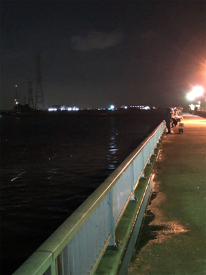 碧南海釣り公園にてヘチ釣り