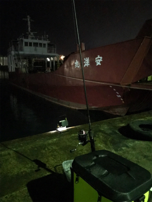 ポツリ…ポツリ…のヒイカ釣り