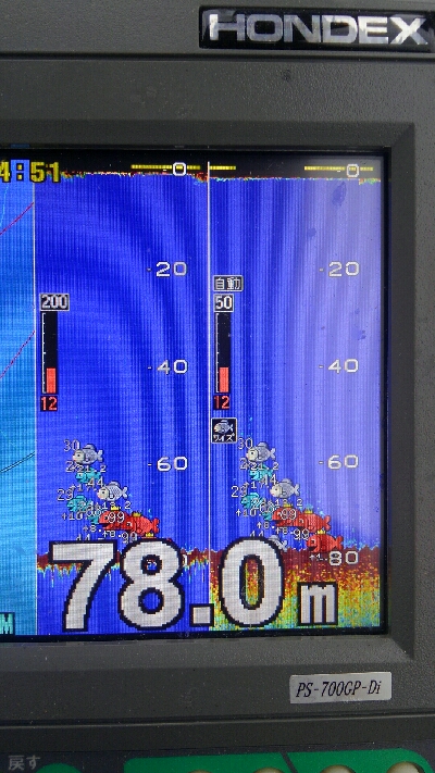 釣り初めは高級魚