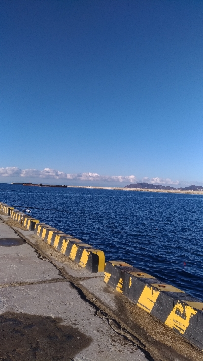 1/14釣果　サバサバサバ　