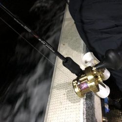 淡路沖 船カサゴ