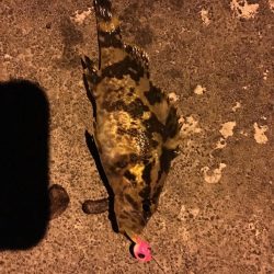 常夜灯の近くで