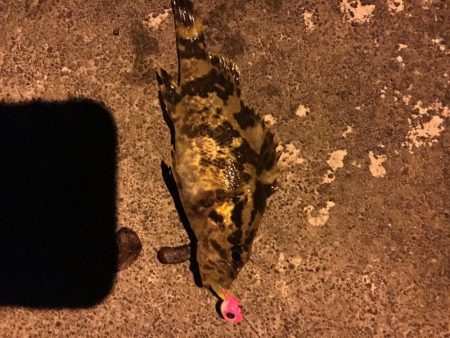 常夜灯の近くで