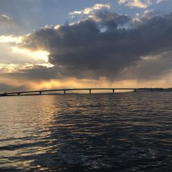 ロックフィッシュゲームでメバルも