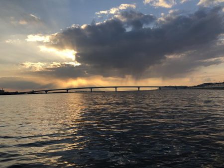 ロックフィッシュゲームでメバルも