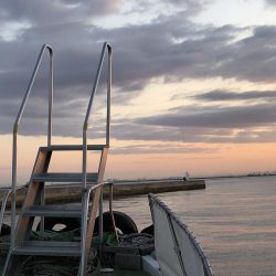 早朝ロックフィッシュゲーム