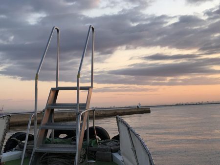 早朝ロックフィッシュゲーム