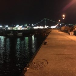 爆風のメバルプラッキング