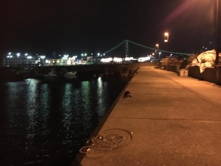 爆風のメバルプラッキング