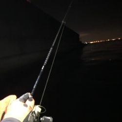 船上ライトワインドゲーム