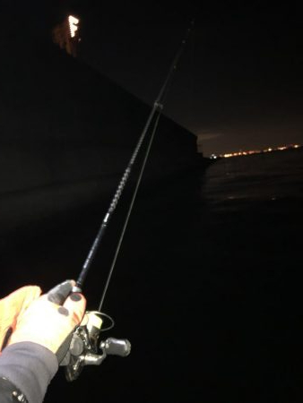 船上ライトワインドゲーム