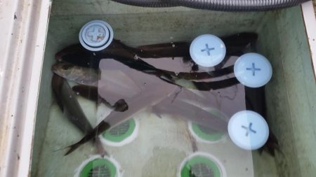 ネイリ好調でした！