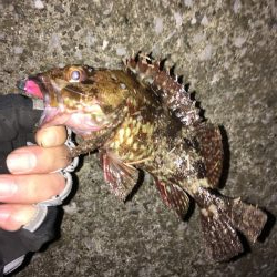 寒さを感じさせない楽しい釣行