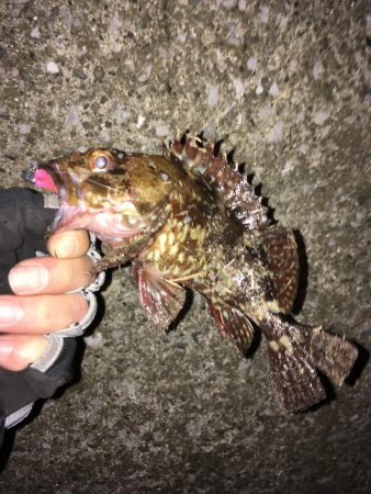 寒さを感じさせない楽しい釣行